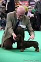 Crufts2011_2 1189